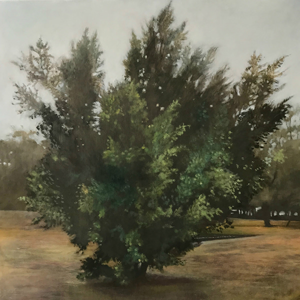 Other Side by Lindy  Sale | Lethbridge Gallery